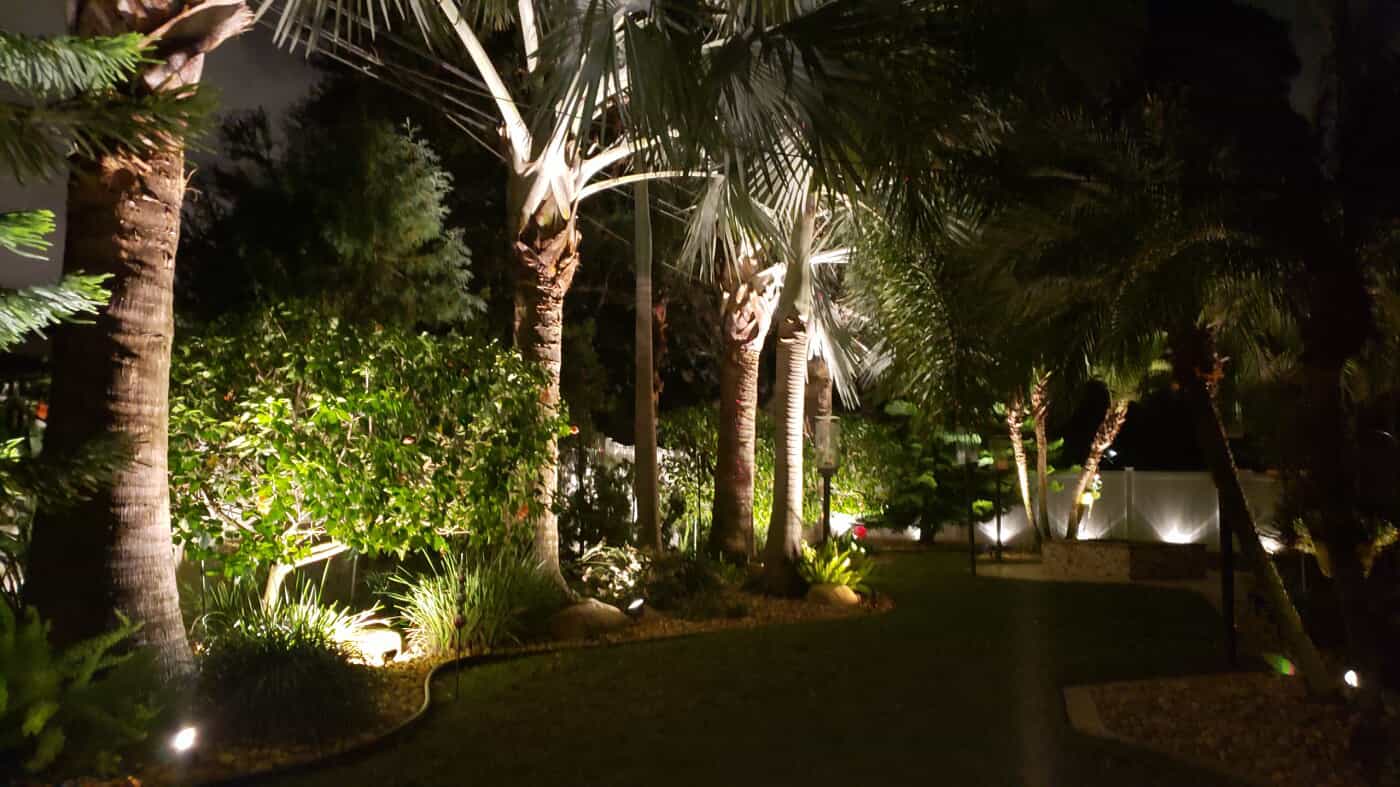 Clearwater Palm Tree and Landscape Lighting